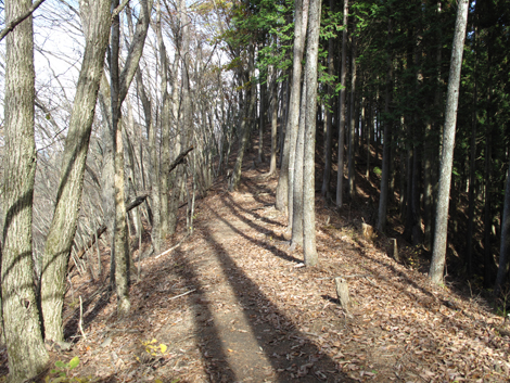 20151116hike (131)